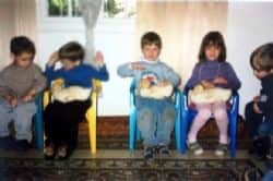 ילדים מלטפים ברווזונים