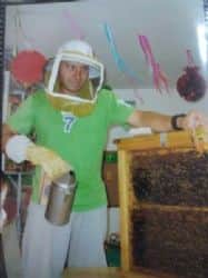 חוג חיות כוורת דבורים שקופה עם כוורן / דבוראי