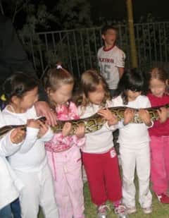 ילדים ביום הולדת מחזיקים נחש גדול