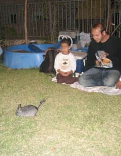 מפעיל יום הולדת וילד מסתכלים על צ'ינצ'ילה